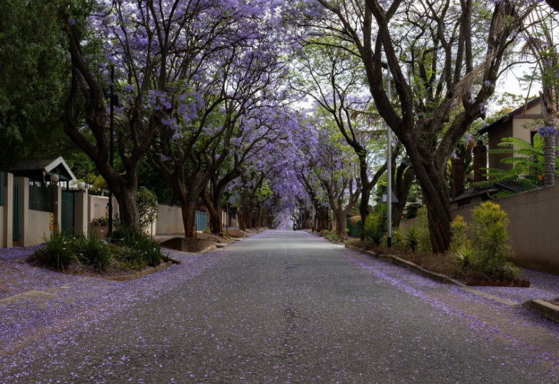 South Kensington, South Africa
